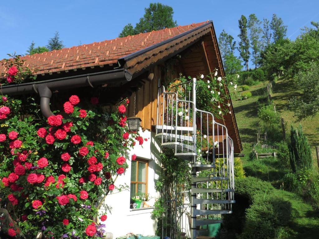 Haus Loidl *